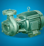 Domestic Monoblock Pumpset