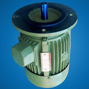 Flange Motor